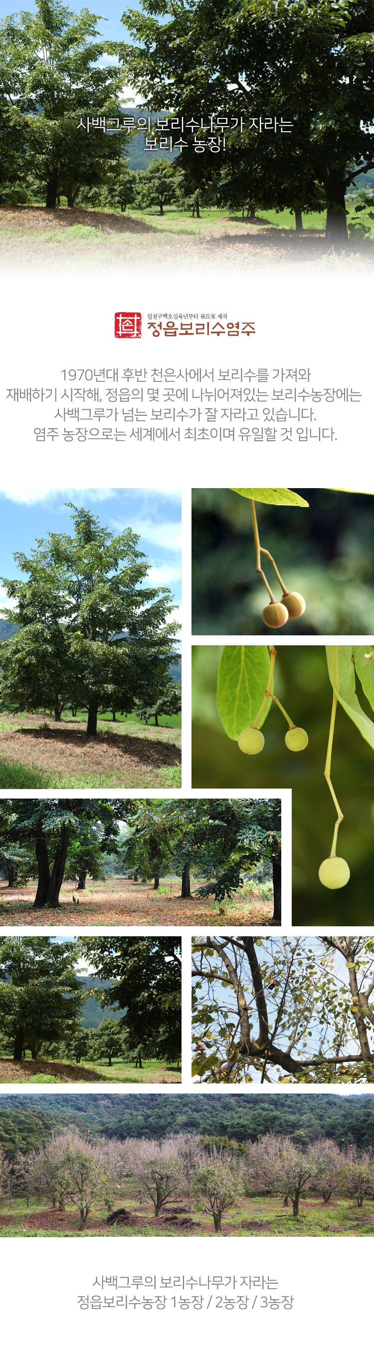 보리수나무 농장